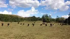 Foto 8 de Fazenda/Sítio à venda, 100000m² em Centro, Lagoinha