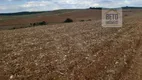 Foto 7 de Fazenda/Sítio à venda, 50000000m² em Zona Rural, Varginha