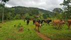 Foto 19 de Fazenda/Sítio com 1 Quarto à venda, 80000m² em Zona Rural, Rio Manso