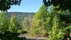 Foto 26 de Fazenda/Sítio à venda, 94000m² em Linha Bonita, Gramado