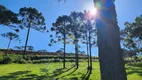 Foto 10 de Fazenda/Sítio à venda, 20000m² em Centro, Rio Rufino