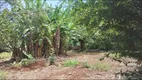 Foto 7 de Fazenda/Sítio com 3 Quartos à venda, 5000m² em Jardim Patrícia, Uberlândia