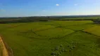 Foto 7 de Fazenda/Sítio à venda, 1157300m² em Centro, Campo do Tenente