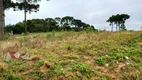 Foto 7 de Fazenda/Sítio com 1 Quarto à venda, 6000m² em Campo Largo da Roseira, São José dos Pinhais