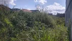 Foto 6 de Lote/Terreno à venda, 353m² em Jamaica, Itanhaém