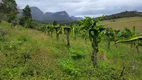 Foto 12 de Fazenda/Sítio à venda, 73000m² em Centro, Ibicoara