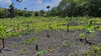 Foto 11 de Fazenda/Sítio com 3 Quartos à venda, 20000m² em Zona Rural, Rio do Fogo