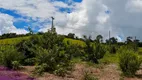 Foto 3 de Fazenda/Sítio com 2 Quartos à venda, 5938m² em Centro, Cambuí