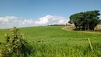 Foto 58 de Fazenda/Sítio com 3 Quartos à venda, 150m² em Zona Rural, Pilar do Sul