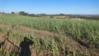 Foto 10 de Fazenda/Sítio com 3 Quartos à venda, 250m² em Zona Rural, Capela do Alto