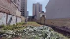 Foto 6 de Lote/Terreno para venda ou aluguel, 500m² em Vila Bertioga, São Paulo