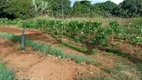 Foto 4 de Fazenda/Sítio com 3 Quartos à venda, 50000m² em Brazlândia, Brasília