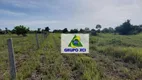 Foto 10 de Fazenda/Sítio à venda, 13775000m² em Zona Rural, Cocalinho