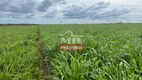 Foto 4 de Fazenda/Sítio à venda em Setor Central, Tupirama