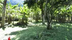Foto 39 de Fazenda/Sítio com 4 Quartos à venda, 63000m² em Japuíba, Cachoeiras de Macacu