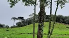 Foto 8 de Fazenda/Sítio com 3 Quartos à venda, 25000m² em , Rio Rufino