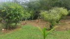 Foto 20 de Fazenda/Sítio com 3 Quartos à venda, 500m² em Zona Rural, Bela Vista de Goiás