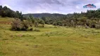 Foto 21 de Fazenda/Sítio com 3 Quartos à venda, 160000m² em Maracana, Glorinha