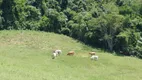 Foto 9 de Fazenda/Sítio à venda, 30000m² em Zona Rural, Marechal Floriano