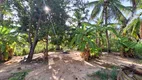 Foto 47 de Fazenda/Sítio com 3 Quartos à venda, 15095m² em Zona Rural, Conde