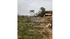 Foto 7 de Lote/Terreno à venda, 4000m² em Area Rural de Itapira, Itapira