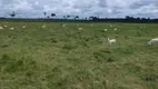 Foto 15 de Fazenda/Sítio com 2 Quartos à venda, 1000m² em Zona Rural, Manicoré