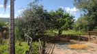 Foto 40 de Fazenda/Sítio com 4 Quartos à venda, 288000m² em Zona Rural, Piracanjuba