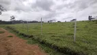 Foto 30 de Fazenda/Sítio com 3 Quartos à venda, 60000m² em Sao Vicente de Paula, Conselheiro Lafaiete