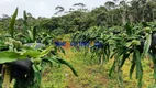 Foto 8 de Fazenda/Sítio com 3 Quartos à venda, 20000m² em Campo do Coelho, Nova Friburgo