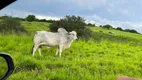 Foto 25 de Chácara com 3 Quartos à venda, 200m² em , Monte Alegre