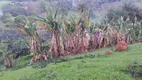 Foto 35 de Fazenda/Sítio com 3 Quartos à venda, 200m² em Sitio da Serra, Tuiuti