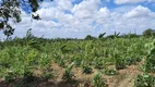 Foto 23 de Fazenda/Sítio com 4 Quartos à venda, 20000m² em Povoado Punau, Rio do Fogo