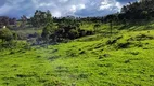 Foto 5 de Fazenda/Sítio com 1 Quarto à venda, 40000m² em , Rio Rufino