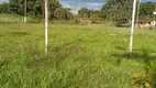 Foto 15 de Fazenda/Sítio com 3 Quartos à venda, 50000m² em Brazlândia, Brasília