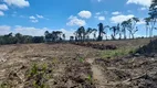 Foto 6 de Fazenda/Sítio à venda, 196000m² em Centro, Campo do Tenente