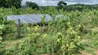 Foto 44 de Fazenda/Sítio com 5 Quartos à venda, 330m² em Zona Rural, Alvorada do Norte