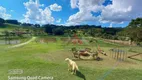 Foto 32 de Fazenda/Sítio com 2 Quartos à venda, 14000m² em , Biritiba Mirim