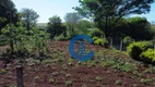 Foto 44 de Fazenda/Sítio com 2 Quartos à venda, 260m² em , Santa Terezinha de Itaipu