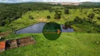 Foto 8 de Fazenda/Sítio à venda, 4694800m² em Zona Rural, Ipameri