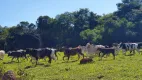 Foto 2 de Lote/Terreno à venda, 20000m² em Zona Rural, São Gonçalo do Pará