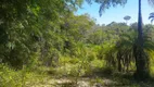 Foto 21 de Fazenda/Sítio com 2 Quartos à venda, 300000m² em Zona Rural, Pariquera-Açu