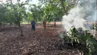 Foto 2 de Lote/Terreno à venda, 100000m² em Centro, Novo Airão