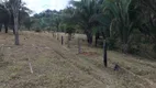 Foto 12 de Fazenda/Sítio com 4 Quartos à venda, 2070000m² em , Água Fria de Goiás