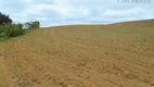 Foto 6 de Fazenda/Sítio com 3 Quartos para venda ou aluguel, 200m² em Areia Branca dos Assis, Mandirituba