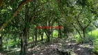 Foto 10 de Fazenda/Sítio com 3 Quartos à venda, 200m² em , Piracanjuba