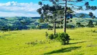 Foto 7 de Fazenda/Sítio à venda, 20000m² em Vacas Gordas, Urubici