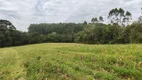 Foto 25 de Lote/Terreno à venda, 5000m² em Vila Delurdes, Campo Largo