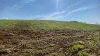 Foto 11 de Fazenda/Sítio à venda, 95685m² em Campo Novo, Campo Magro