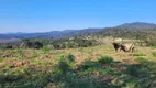 Foto 9 de Fazenda/Sítio à venda, 190000m² em Centro, Rio Rufino