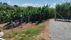 Foto 31 de Fazenda/Sítio com 2 Quartos à venda, 1000m² em Zona Rural, Pinhalzinho